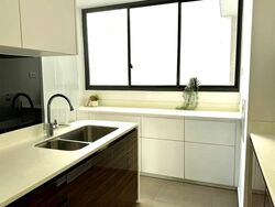 Terrene At Bukit Timah (D21), Condominium #570215031